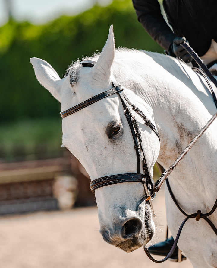 Haness x PS of Sweden Hunter Bridle