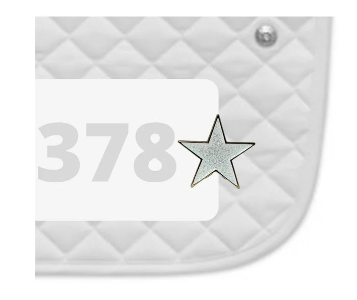 DUBOIS CHEVAL CHARM NUMBER PINS