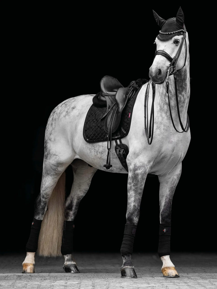LeMieux Crystal Suede Dressage Square
