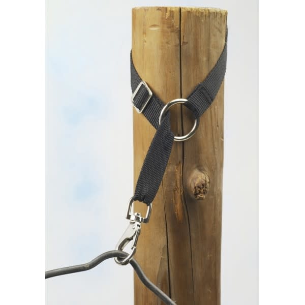 ADJUSTABLE BUCKET HANGER
