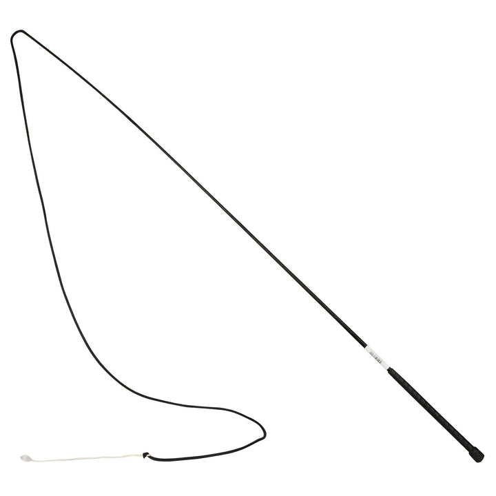 LUNGE WHIP