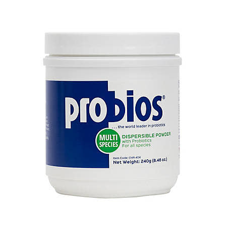 PROBIOS POWDER 240GM