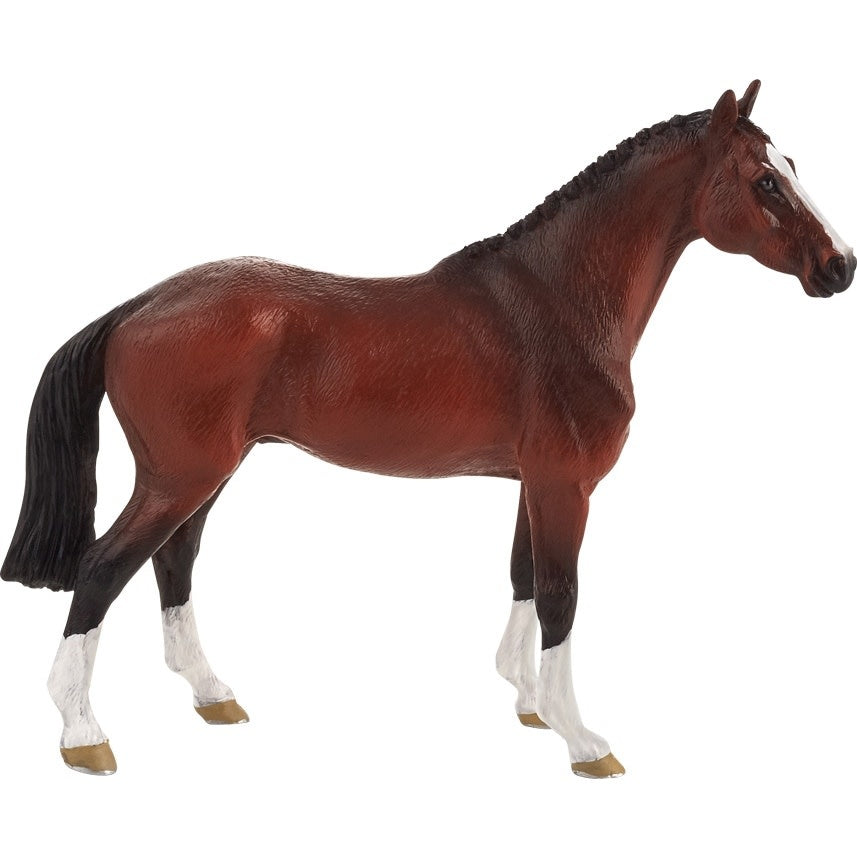 MOJO DUTCH WARMBLOOD
