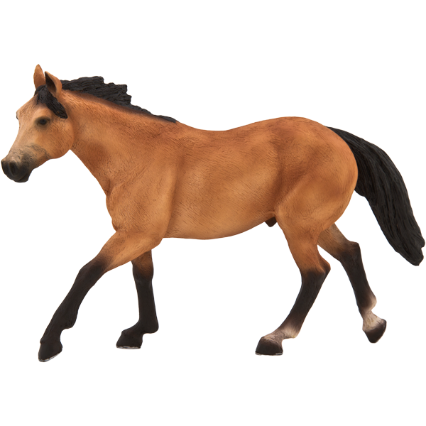 MOJO QUARTER HORSE BUCKSKIN