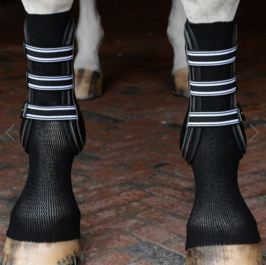GELSOX FOR HORSES