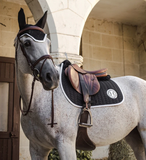 HARCOUR SMAUG SADDLE PAD AND BONNET